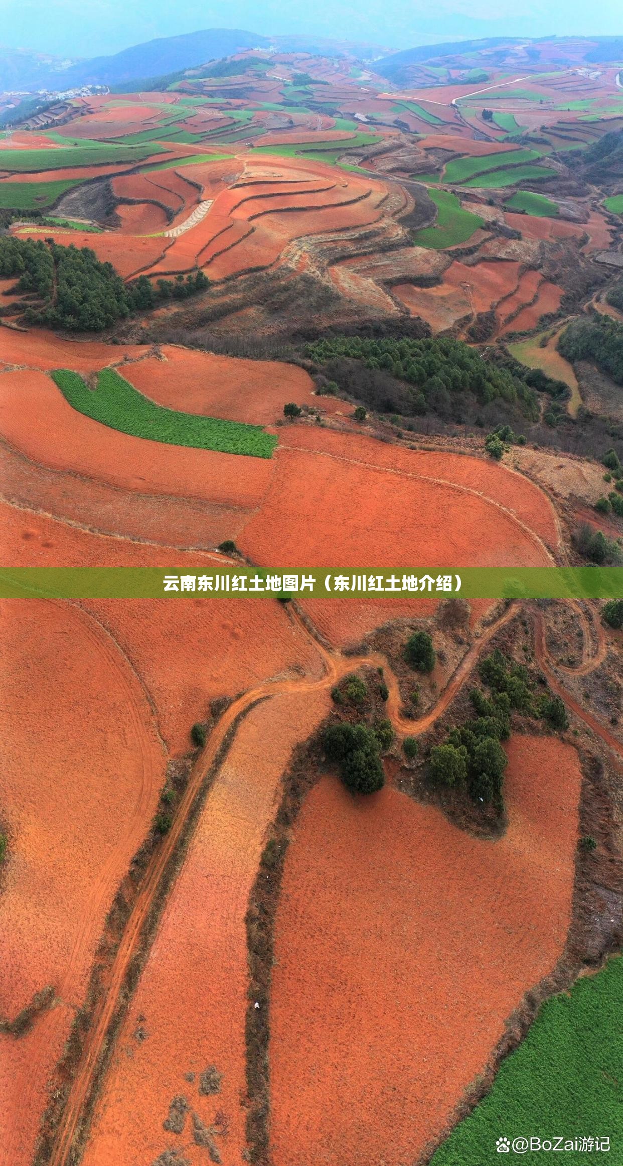 云南东川红土地图片（东川红土地介绍）