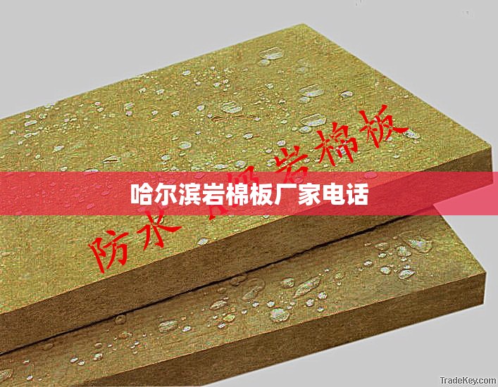 大洋电机发展前景,大洋电机主要客户