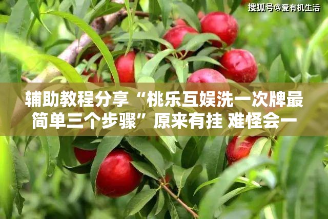 辅助教程分享“桃乐互娱洗一次牌最简单三个步骤”原来有挂 难怪会一直输