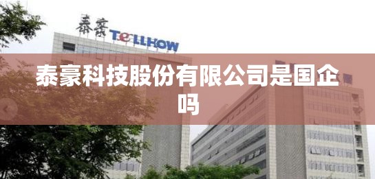 【泰豪科技股份有限公司是国企吗/泰豪科技股份有限公司怎么样】
