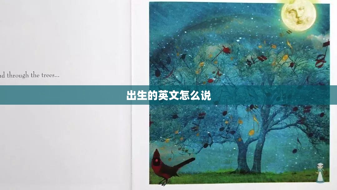 网上买的电视机顶盒/网上买的电视机顶盒遥控器能用吗