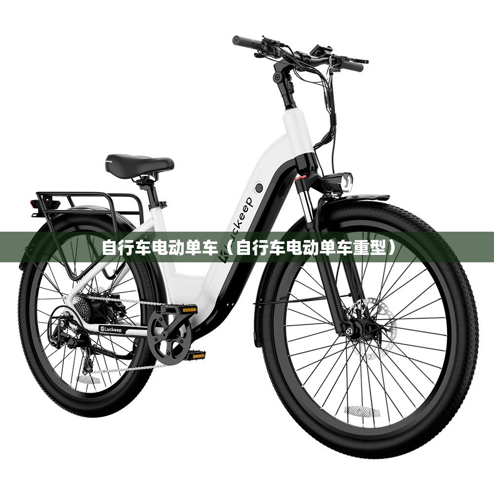 自行车电动单车（自行车电动单车重型）