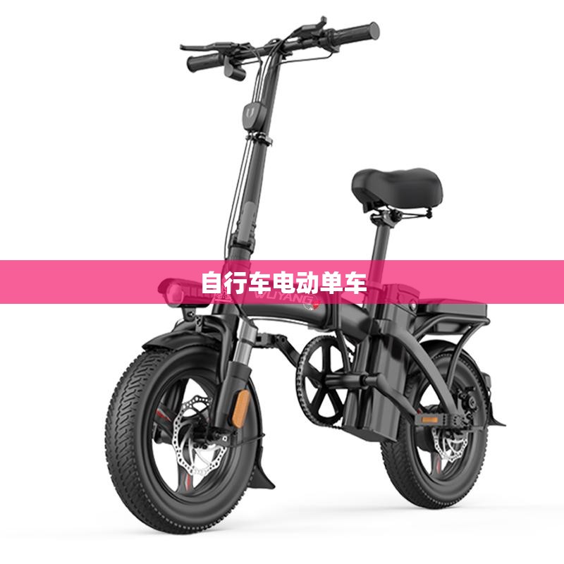 自行车电动单车（自行车电动单车重型）