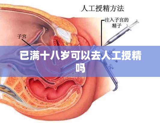 辅助科普实测“喜扣打筒子辅助器免费开挂!辅助神器插件下载
