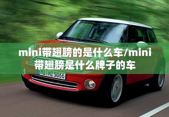 mini带翅膀的是什么车/mini带翅膀是什么牌子的车