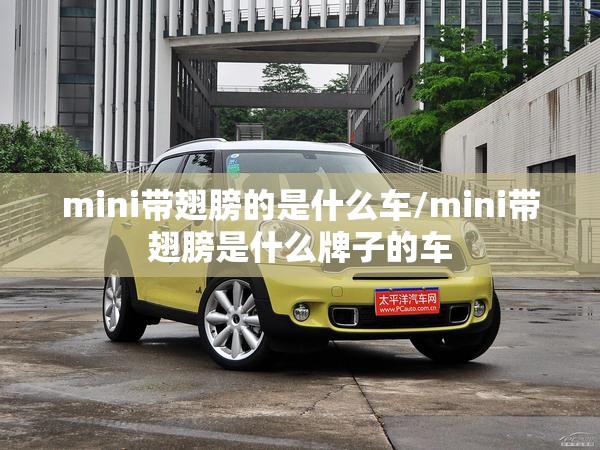 mini带翅膀的是什么车/mini带翅膀是什么牌子的车