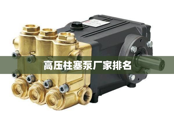 高压柱塞泵厂家排名（高压柱塞泵厂家排名前十）
