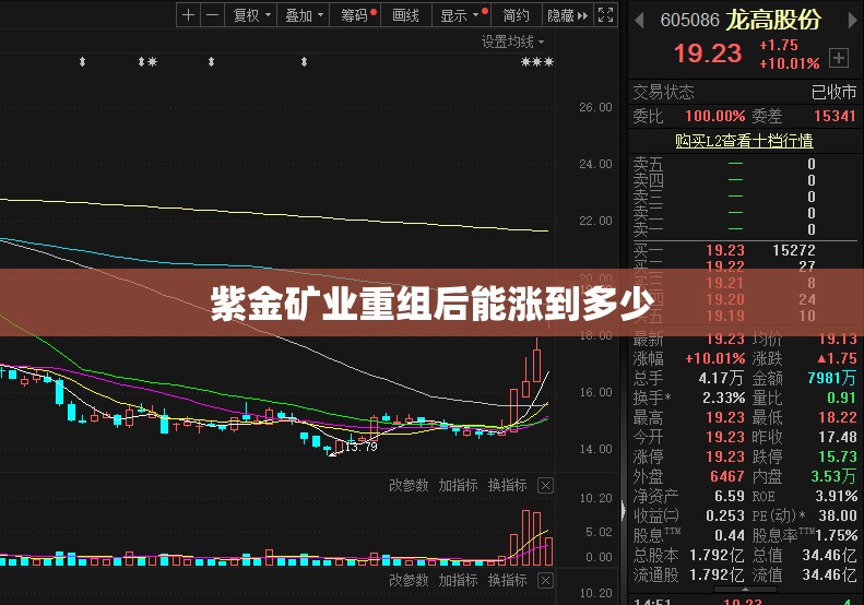 紫金矿业重组后能涨到多少,紫金矿业重仓
