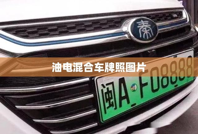 油电混合车牌照图片/油电混合车牌照图片高清