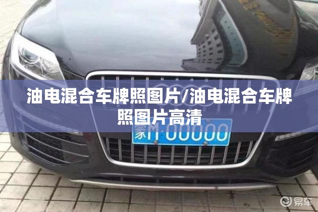 油电混合车牌照图片/油电混合车牌照图片高清