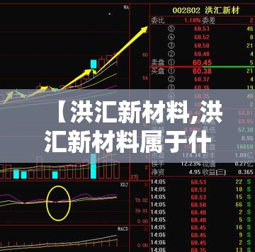 【洪汇新材料,洪汇新材料属于什么档次】