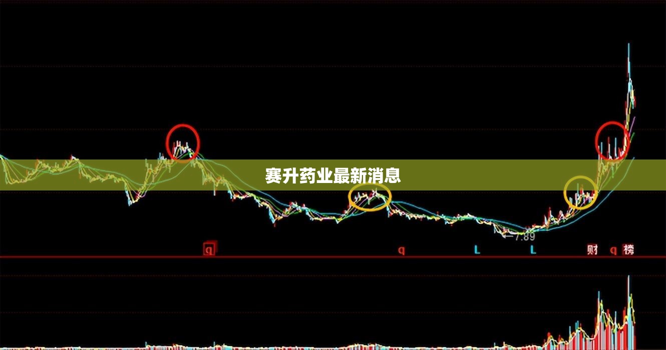 中华尊驰多少钱/中华 尊驰