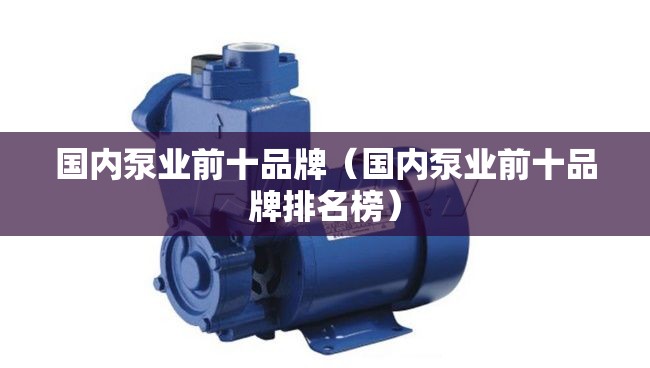 国内泵业前十品牌（国内泵业前十品牌排名榜）