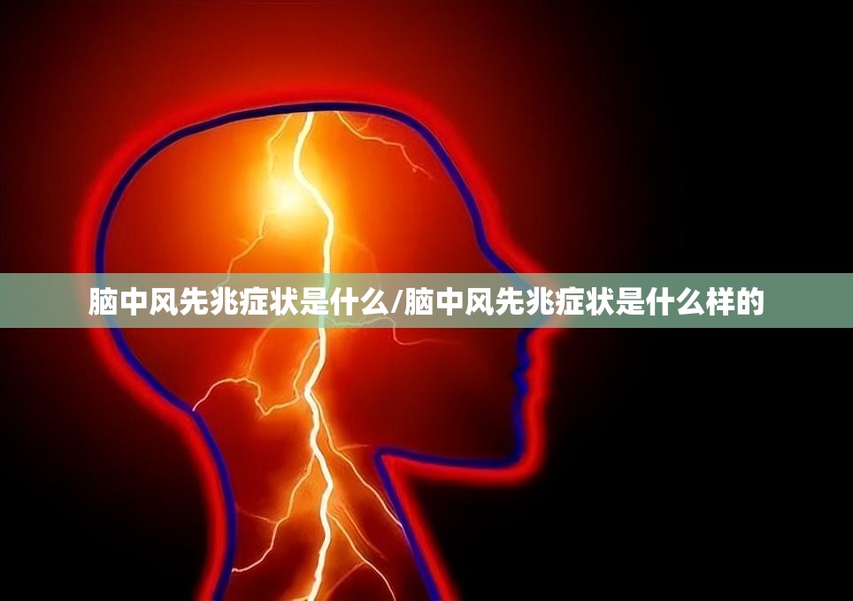 油电混合车牌照图片/油电混合车牌照图片高清