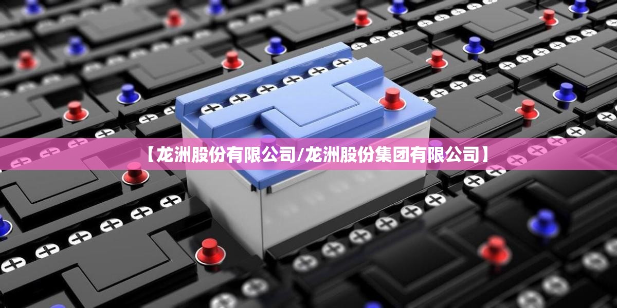 【龙洲股份有限公司/龙洲股份集团有限公司】