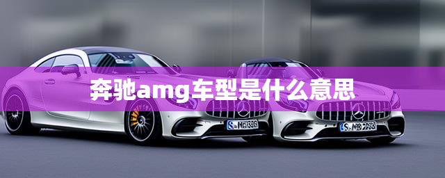 【奔驰amg车型是什么意思,奔驰amg车型是什么意思呀】