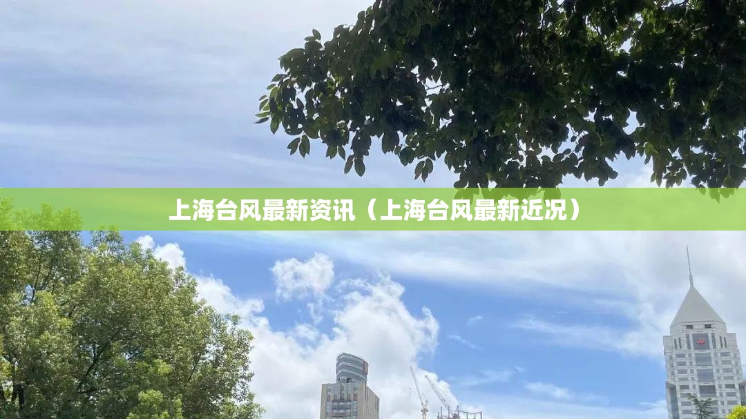 玩家辅助神器“新玉海楼茶苑13张科技辅助!最新火爆必备系统