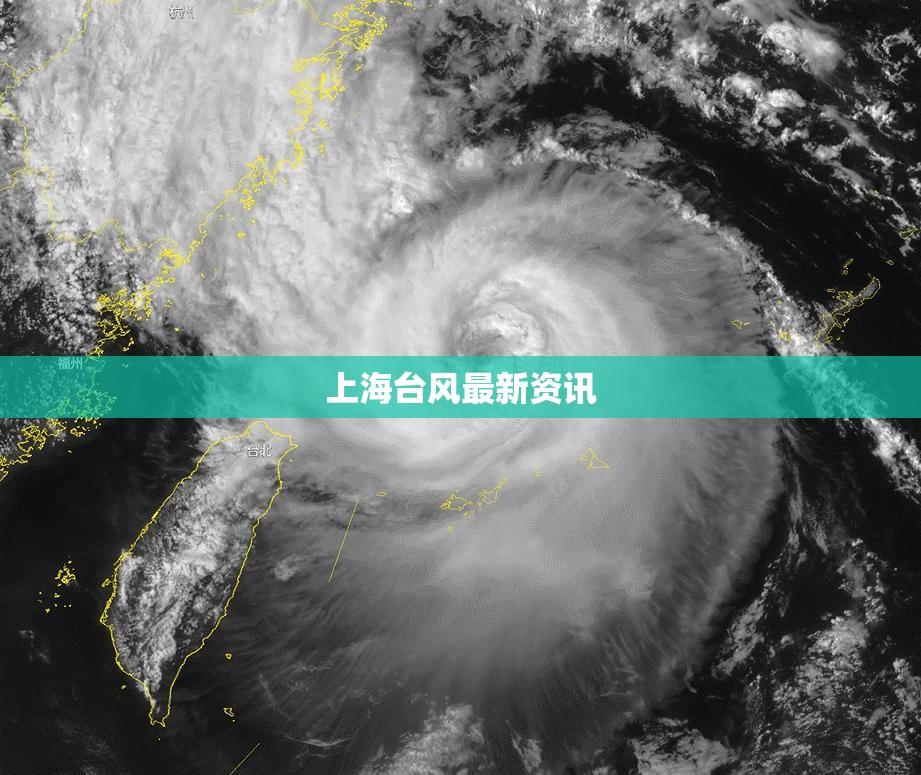 上海台风最新资讯(上海台风最新近况) 上海台风最新资讯(上海台风最新近况)