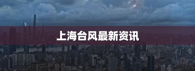 上海台风最新资讯(上海台风最新近况) 上海台风最新资讯(上海台风最新近况)
