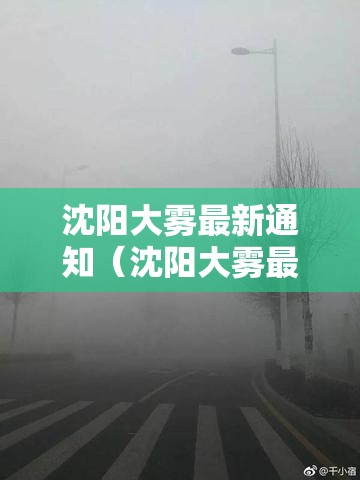 沈阳大雾最新通知（沈阳大雾最新通知消息）