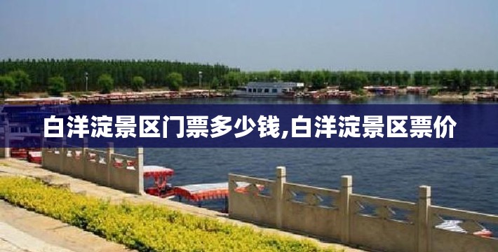 上海台风最新资讯（上海台风最新近况）
