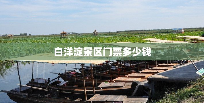 白洋淀景区门票多少钱,白洋淀景区票价