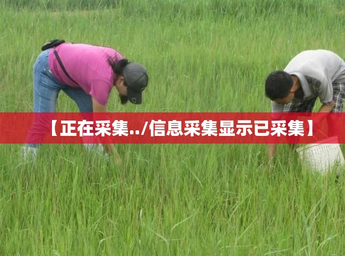 999银的费用多少钱一克（999银的费用多少钱一克老凤祥）