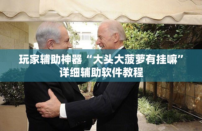 玩家辅助神器“大头大菠萝有挂嘛	”详细辅助软件教程