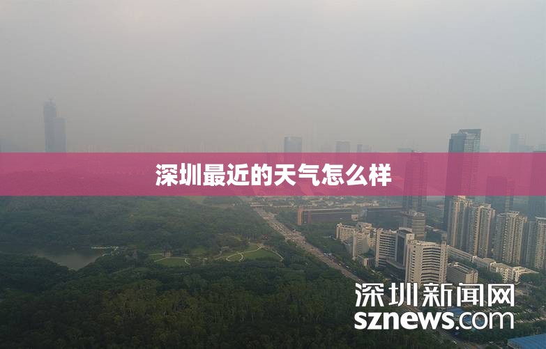 深圳最近的天气怎么样（深圳最近一周的天气）