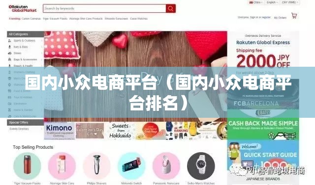 国内小众电商平台（国内小众电商平台排名）