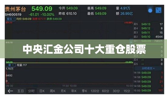 【中央汇金公司前十重仓股票/中央汇金公司持有的股票说明什么】