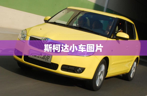 斯柯达小车图片（斯柯达小型suv车图片）