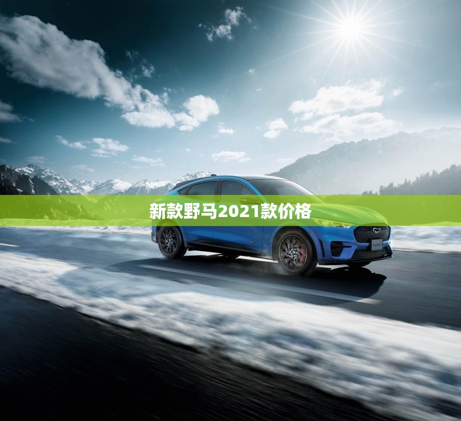 【新款野马2021款费用/2021最新款野马】