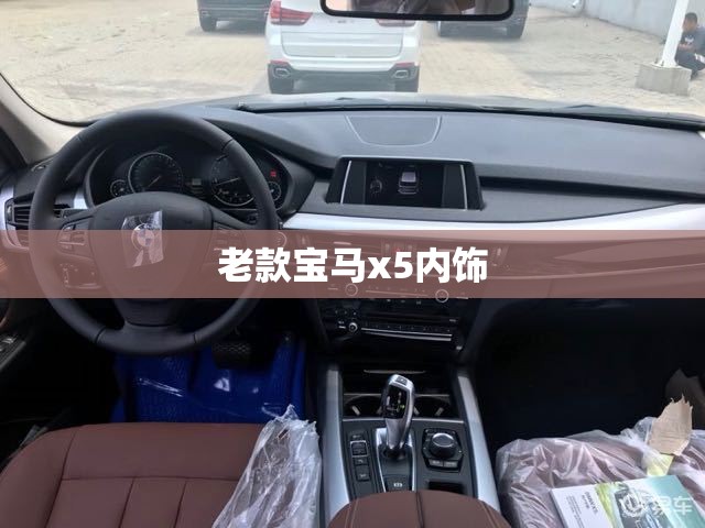 【老款宝马x5内饰,老款宝马x5内饰金色是什么】