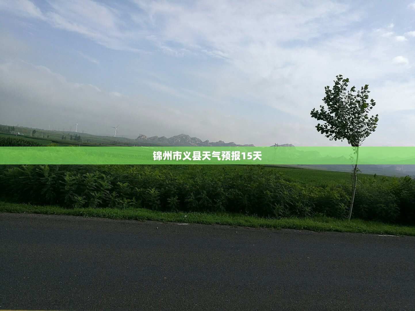 衣橱英文