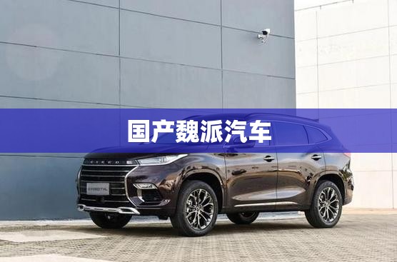 国产魏派汽车（魏派汽车是国产还是合资车）