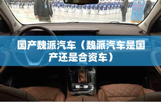 国内小众电商平台（国内小众电商平台排名）