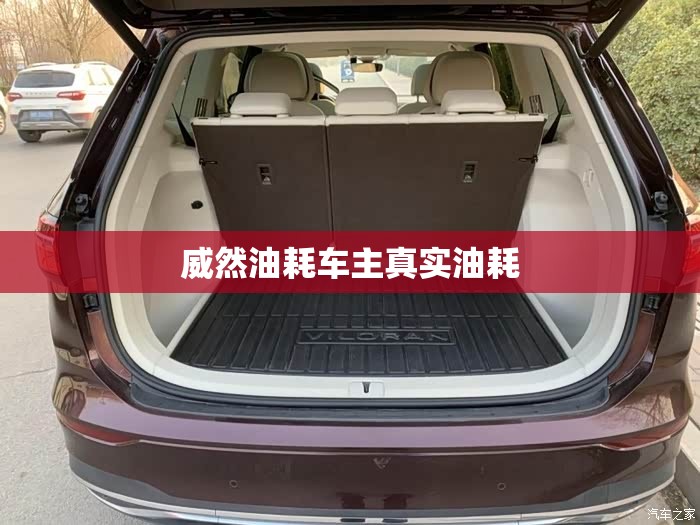 威然油耗车主真实油耗 威然油耗车主真实油耗