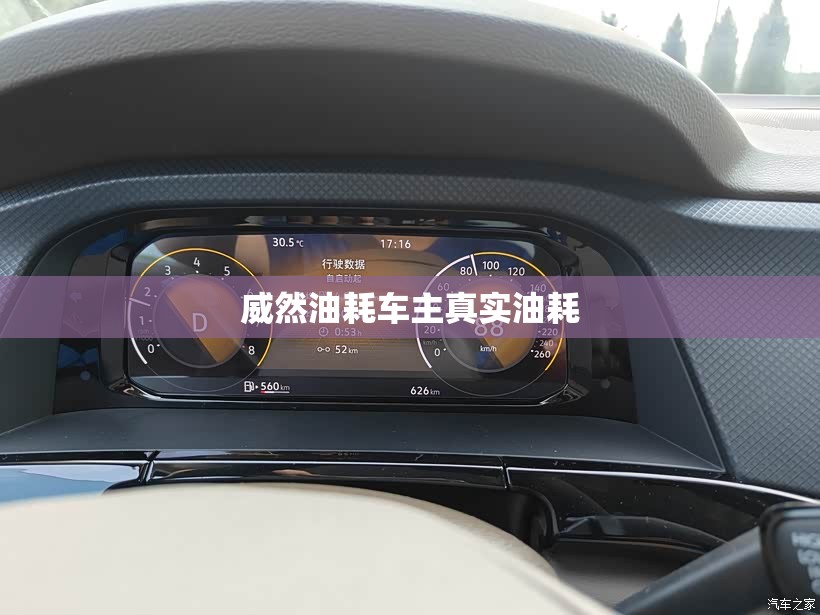 威然油耗车主真实油耗 威然油耗车主真实油耗