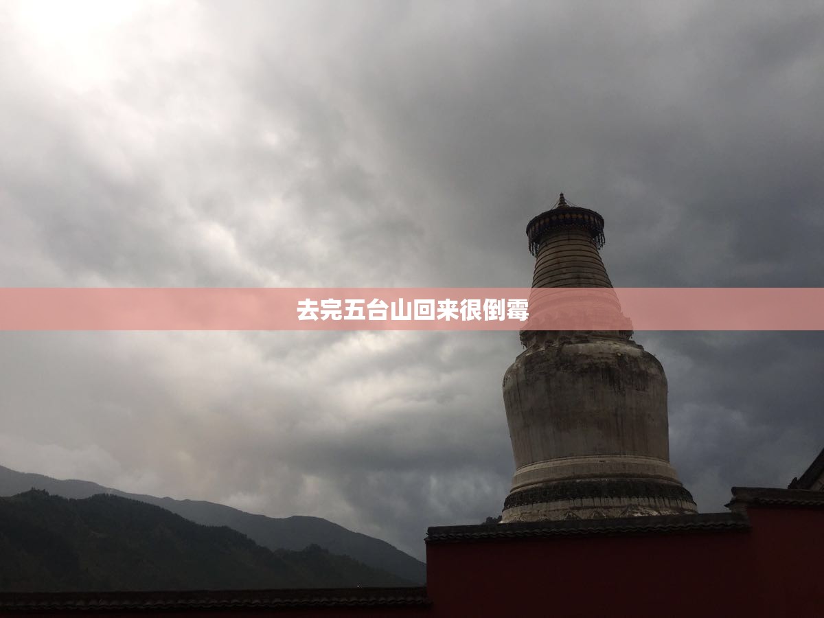 斯柯达小车图片（斯柯达小型suv车图片）