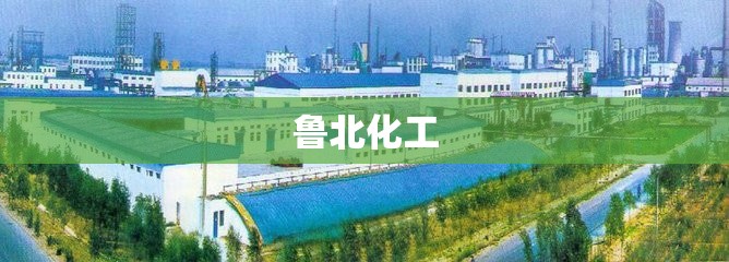 鲁北化工,鲁北化工600727股吧