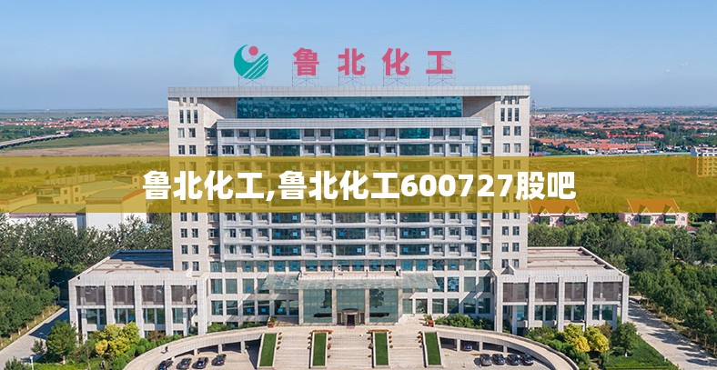 鲁北化工,鲁北化工600727股吧