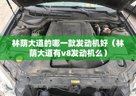 林荫大道的哪一款发动机好(林荫大道有v8发动机么) 林荫大道的哪一款发动机好(林荫大道有v8发动机么)