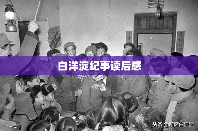 白洋淀纪事读后感/白洋淀纪事读后感400字左右