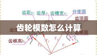 齿轮模数怎么计算,齿轮模数怎么计算公式