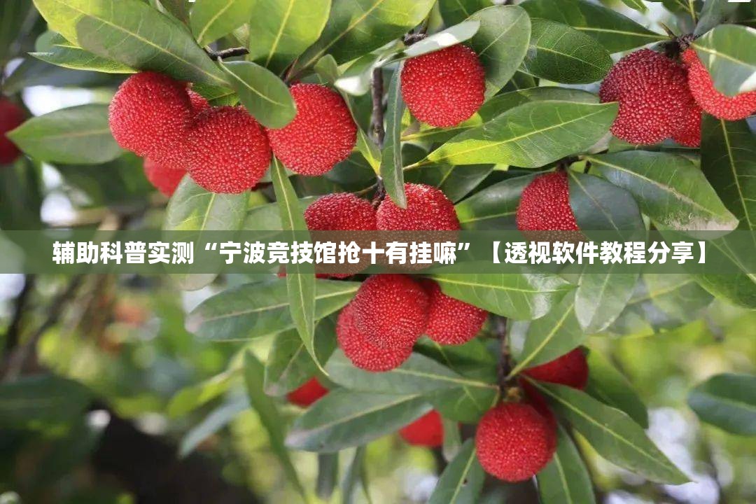 辅助科普实测“宁波竞技馆抢十有挂嘛”【透视软件教程分享】