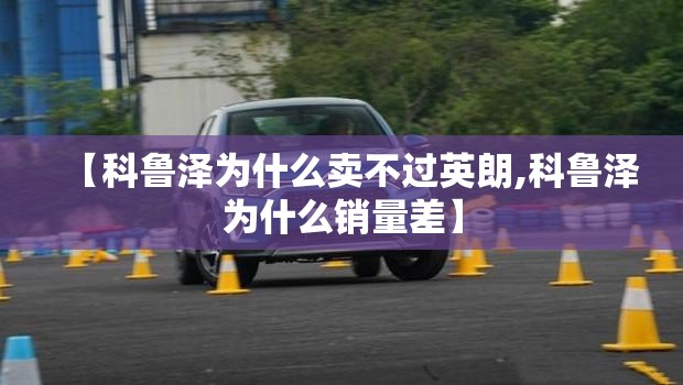 玩家辅助神器“掌游大厅免费开挂教程”有挂详细开挂教程