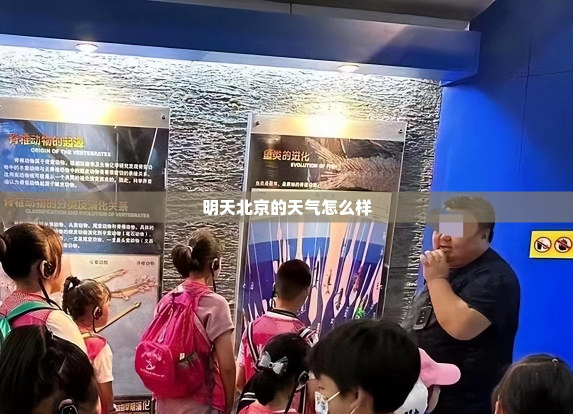 明天北京的天气怎么样(明天北京的天气怎么样用英语怎么说) 明天北京的天气怎么样(明天北京的天气怎么样用英语怎么说)