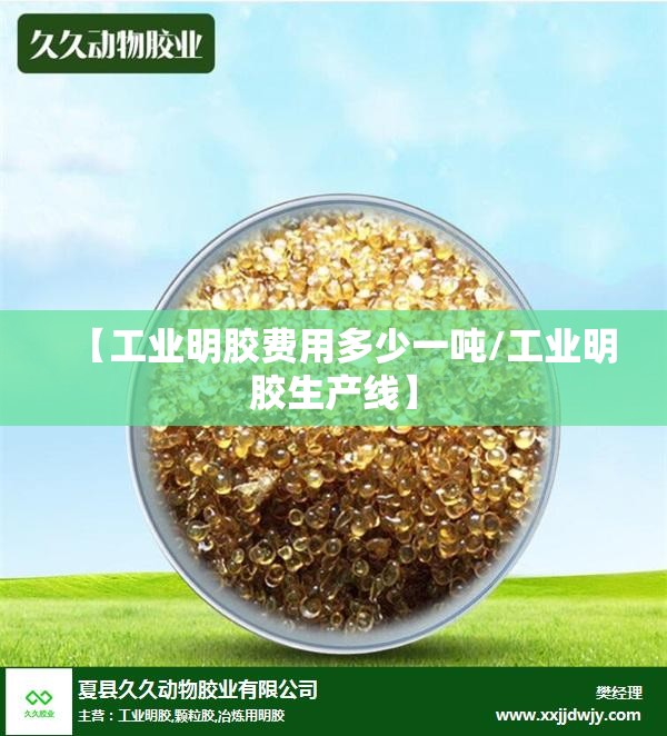 【工业明胶费用多少一吨/工业明胶生产线】
