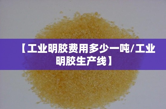 【工业明胶费用多少一吨/工业明胶生产线】